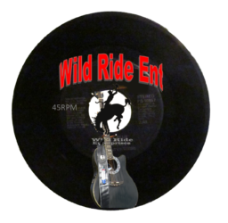 Wild Ride Enterprises LLC